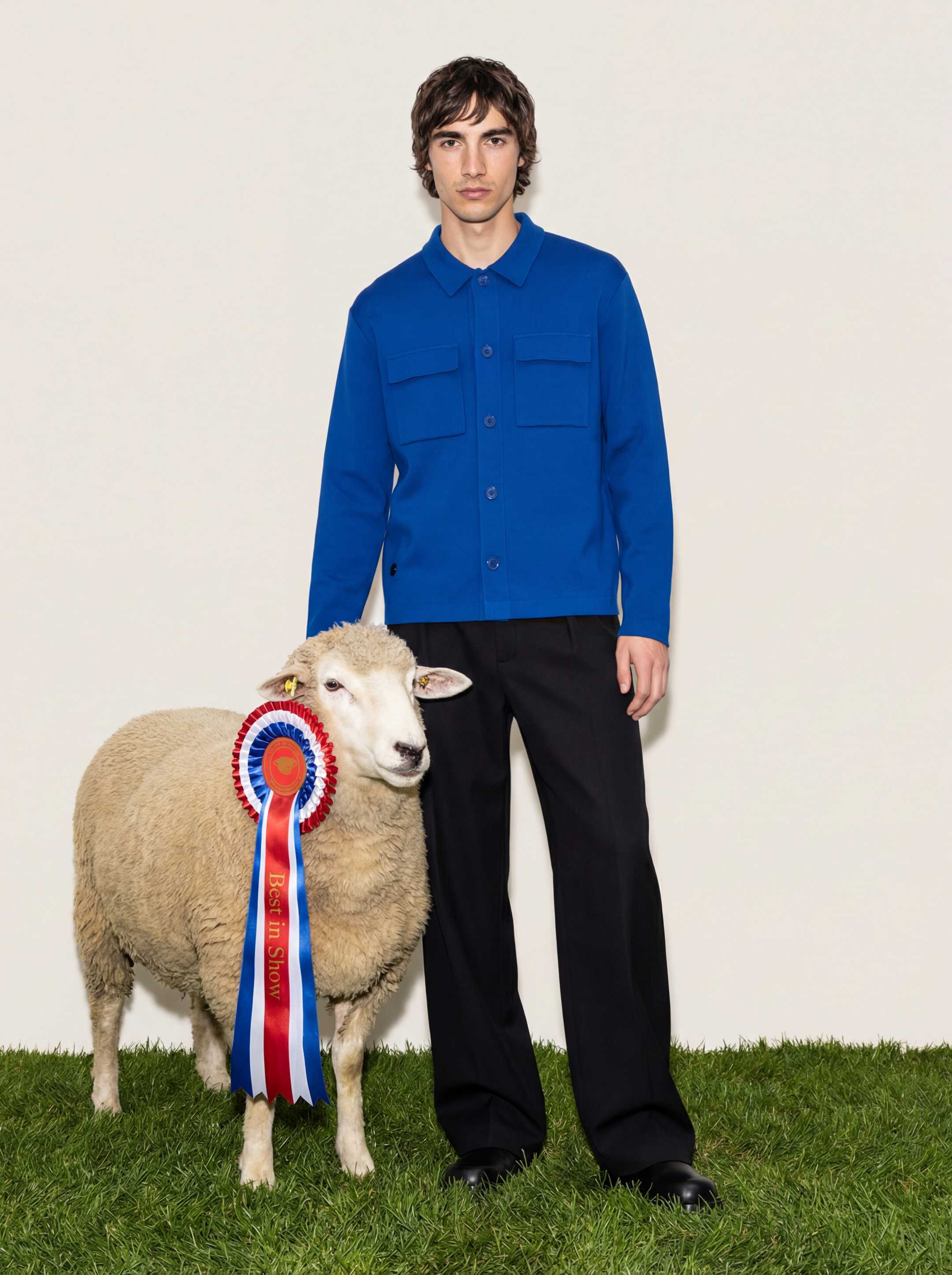 The Over Shirt - Cobalt Blue - Image 5